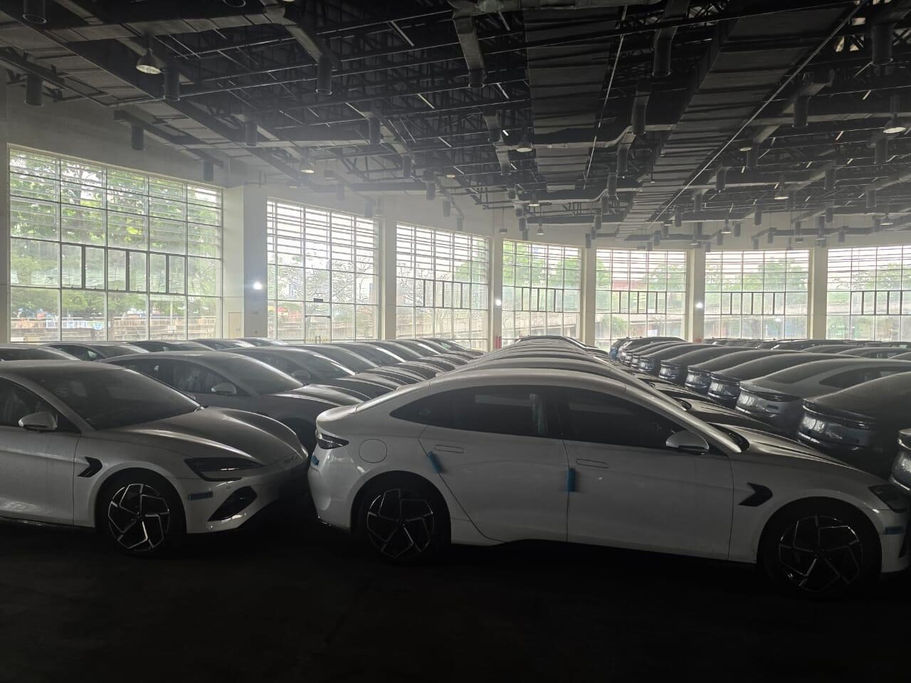 355 brand-new 2024 BYD EVs in bonded warehouse Southeast Asia